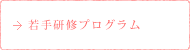 若手研修プログラム