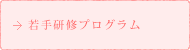 若手研修プログラム