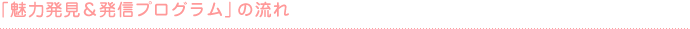 「魅力発見&発信プログラム」の流れ