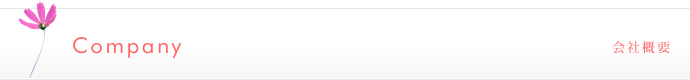 Company 会社概要